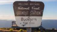 Buckhorn Lookout