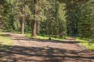 Trailhead
