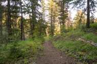 BC Falls Trail