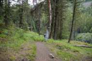 CJ Main River Trail